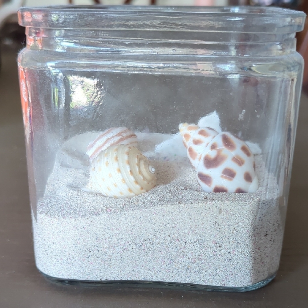Hand Crafted Cream and Brown  Sea Shell Beach Decor Accents. Calm Restful Space - Picture 2 of 5